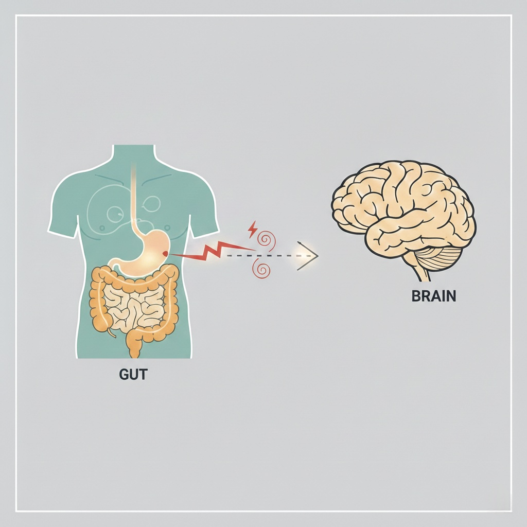 تأثير الغذاء على الجهاز الهضمي والسلوك.